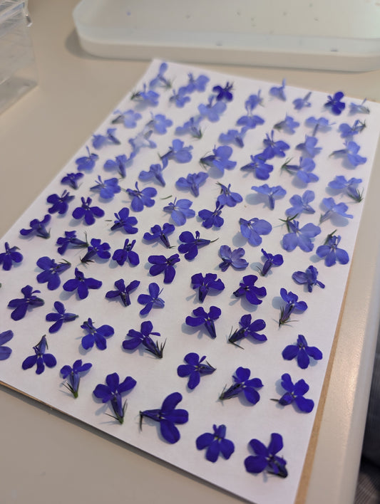 How Long Does Pressed Flower Jewellery Last? A Simple Care Guide