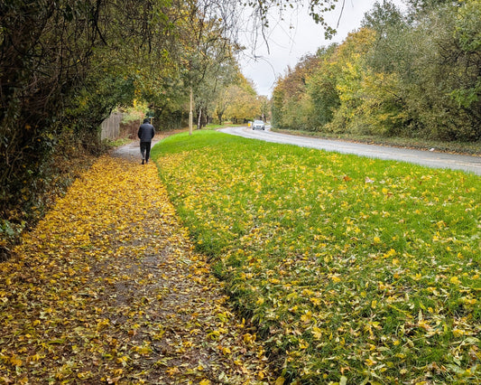 A Crafter’s Thoughts for the Festive Season